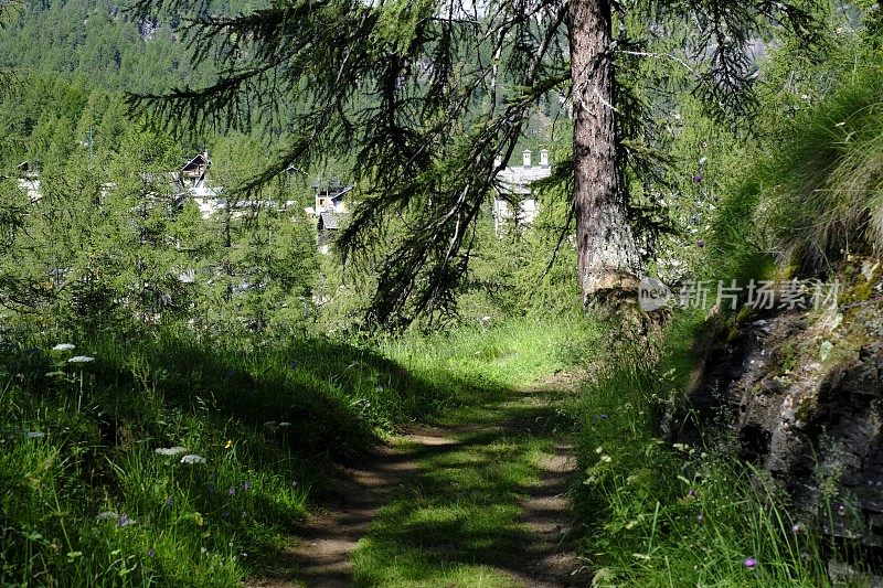 Alpe Devero - Piedmont - Italy报道